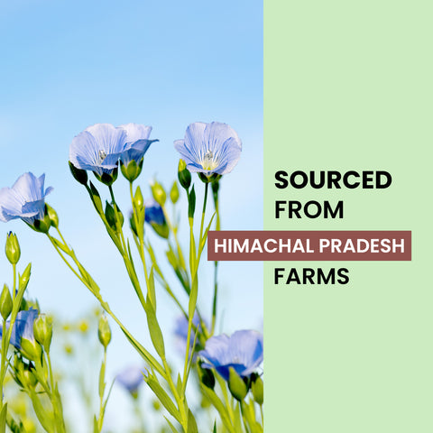 Alps Goodness Flaxseed Gel (300 ml) | For Hair & Skin | Frizz-Control | Smoothening | Moisture Rich | Soft Long Hair