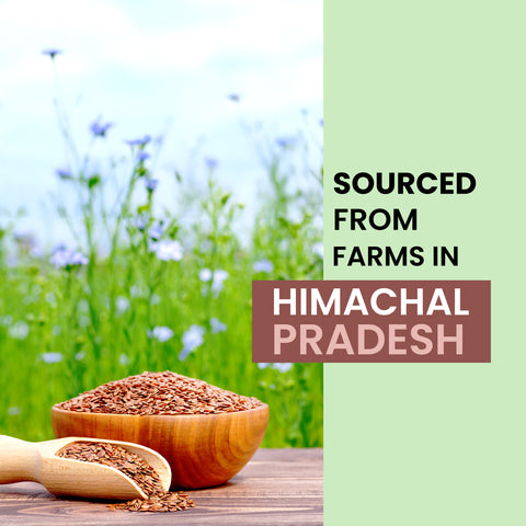 Alps Goodness Flaxseed Gel (300 ml) | For Hair & Skin | Frizz-Control | Smoothening | Moisture Rich | Soft Long Hair