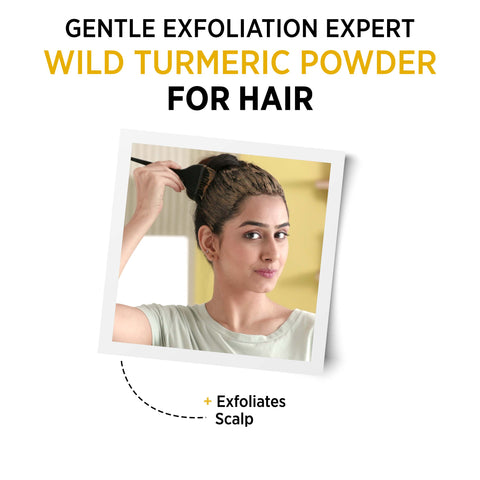 Alps Goodness Powder - Wild Turmeric (50 gm) | 100% Natural Kasturi Haldi Powder | No Chemicals, No Preservatives, No Pesticides | Face Mask for Even Toned Skin & Glow