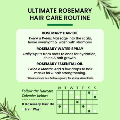 Alps Goodness Rosemary Hair Oil (105 ml) | Promotes Hair Growth | Non Sticky Hair Oil | 100% Natural | With 5% Pure & Concentrated Rosemary | For Long, Black & Silky Hair | Best Rosemary Oil for Scalp | Relaxing Oil