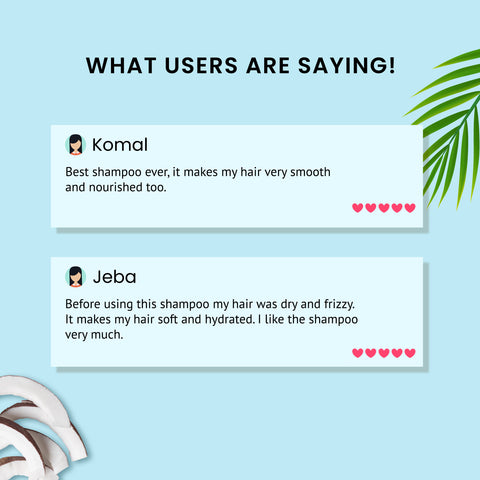 Alps Goodness Coconut, Argan Oil & Hyaluronic Acid Hydrating & Nourishing Shampoo for Dry Hair (290 ml)