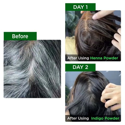 Alps Goodness Powder - Indigo (150 gm)