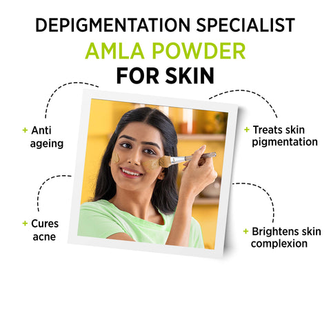 Alps Goodness Powder - Amla (50 gm)