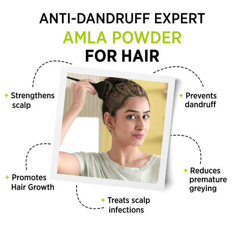 Alps Goodness Powder - Amla (50 gm)