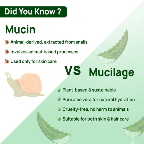 Good Vibes Aloe Mucilage Hydrating Serum | 48-Hour Deep Hydration | Soft & Moisturized Skin | Natural Mucin Alternative for Healthy Skin | Reduces Signs of Aging | Perfect for Skin & Hair | 50 ml