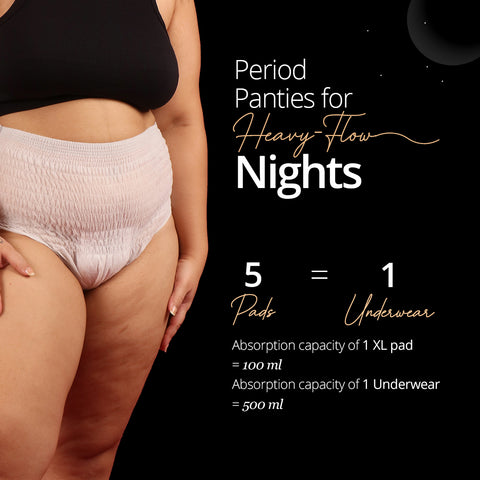 Carmesi Disposable Period Panties (L-XL) - 4 Pcs