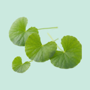 Good Vibes Acne Clear Pimple Patch 36 pcs