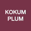 NY Bae 2-in-1 Lip Liner & Lip Colour - Shade- Kokum Plum