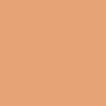 FACES CANADA 3 in 1 Flawless Matte Concealer - Ivory 8 gm