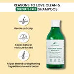 Alps Goodness Fenugreek Biotin & Redensyl Anti Hairfall Shampoo (290 ml)