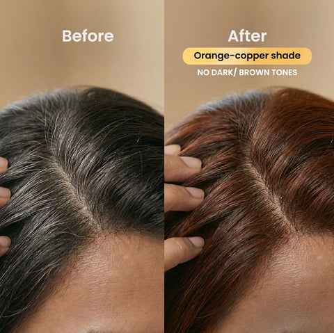Alps Goodness Henna Powder with Herb-Soaked Hair Conditioner | Henna Powder | Conditioning water | Ready-to-Mix Herbal Henna Kit | Henna for hair | Grey Coverage & Conditioning | No Toxic Chemicals | 50 gm + 150 ml