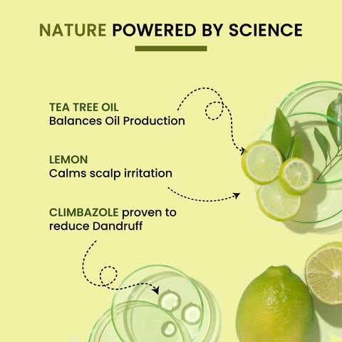 Alps Goodness Tea Tree Oil Lemon & Climbazole Anti-Dandruff Shampoo for Oily Scalp (290 ml) | Silicones & Parabens Free I Gentle & Mild Cleansing Shampoo l Shampoo for Oily Hair & Scalp