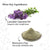 alps-goodness-charcoal-detoxifiying-facial-kit-31-g-82-4