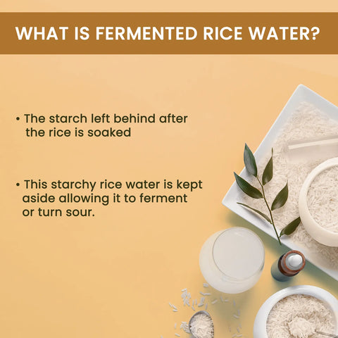 Alps Goodness Fermented Rice Water (100 ml) | Rice Water For Hair & Face | Korean Glass Skin | For Brighter Skin | Shiny Silky Hair | Elastic & Glowy Skin