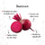 alps-goodness-powder-beetroot-50-g-91-2