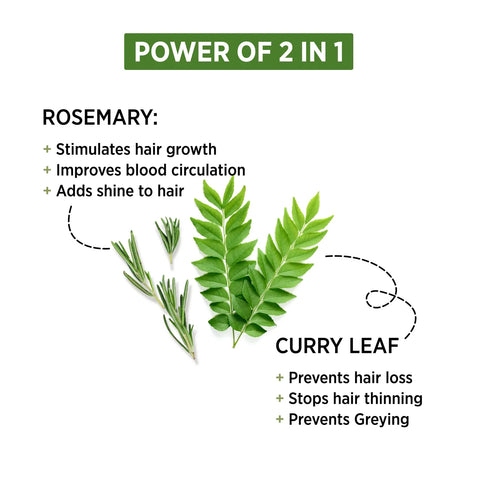 Alps Goodness Rosemary & Curry Leaf Powder (50 gm)