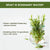 Alps Goodness Rosemary Water (100 ml) | Rosemary water for hair | Hair Spray for Regrowth | Hair Growth Expert | Viral Rinse | Bestselling Spray