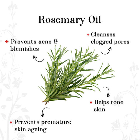alps-goodness-rosemary-wrinkle-reducer-facial-kit-36-g-2