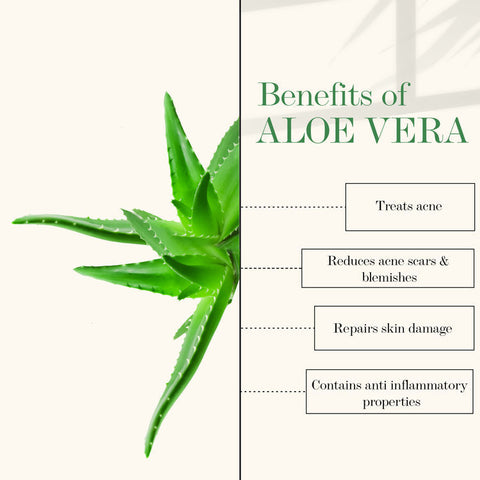 good-vibes-gel-aloe-vera-100-g-20-5