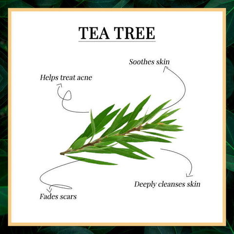 good-vibes-gentle-cleansing-face-wash-tea-tree-200-ml-1-3