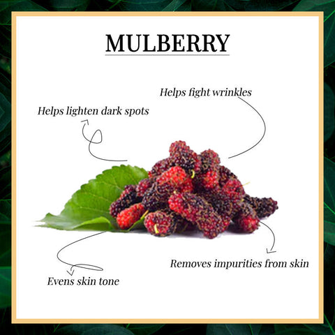 good-vibes-mulberry-lightening-face-wash-2