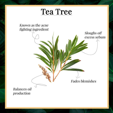 good-vibes-oil-control-serum-tea-tree-and-papaya-30-ml-2