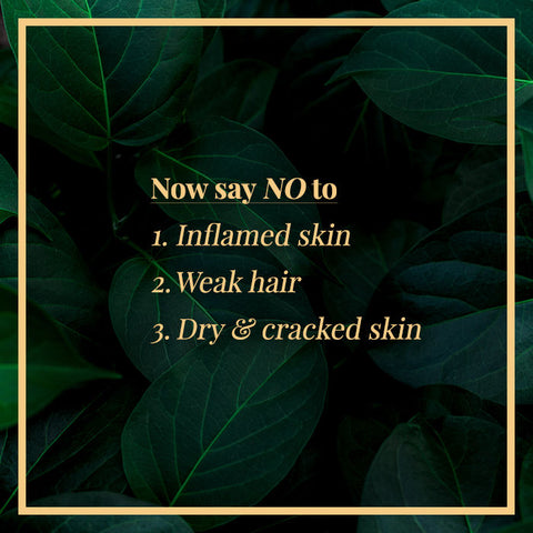 good-vibes-olive-carrier-oil-cold-pressed-100-ml-20-6