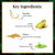 good-vibes-onion-hairfall-control-shampoo-with-keratin-for-shine-corn-for-hair-health-wheat-protein-for-strength-and-soy-for-moisture-200-ml-1-15-5