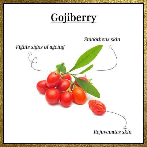 good-vibes-plus-anti-pigmentation-wrinkle-balancing-serum-vitamin-c-goji-berry-10-ml-4