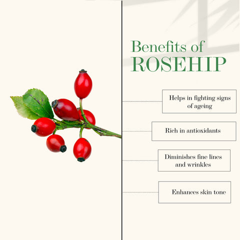 good-vibes-skin-glow-face-scrub-rosehip-100-g-1-4