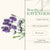 good-vibes-softening-body-lotion-lavender-200-ml-2-3