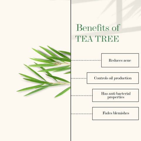 good-vibes-tea-tree-and-papaya-oil-control-face-serum-30-ml-4