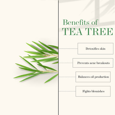 good-vibes-tea-tree-skin-cleansing-toner-120-ml-2-3