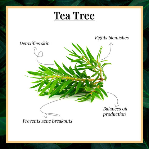 good-vibes-tea-tree-skin-cleansing-toner-120-ml-3