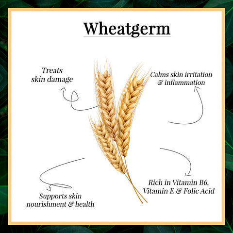 good-vibes-wheatgerm-nourishing-night-cream-13-2