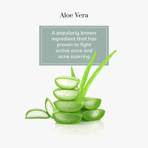 purplle-aloe-backyard-blend-sleeping-mask-with-aloe-vera-and-cucumber-50-gm-4